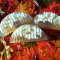 Fall Soap 2007 002