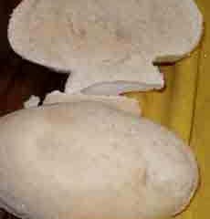 Soap-Halves