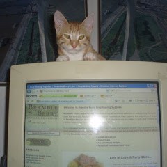 BrambleBerryCat