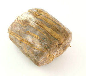 MoldySoap
