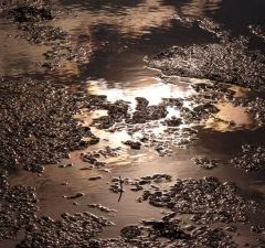 pollution
