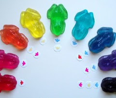 rainbow frogs w flies (2)