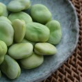800px-Broad-beans-after-cooking