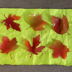 FallSoapLeaves2