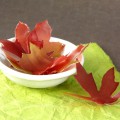 FallSoapLeaves3