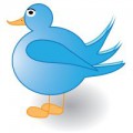 Tweet