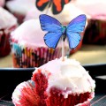 cupcake-682x1024