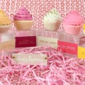 DLcupcakes2