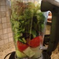 GreenSmoothiBlender