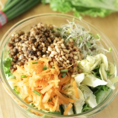 SproutsSalad