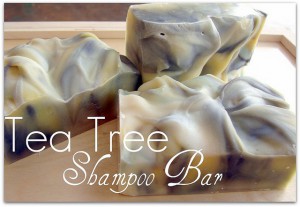 Shampoo Bar Title