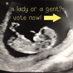 UltrasoundVote