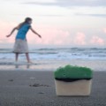 sudsbythesea 2
