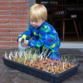 jamisen gardening