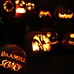 CandlelightPumpkins[1]
