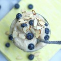 Frozen Banana Ice Cream Recipe