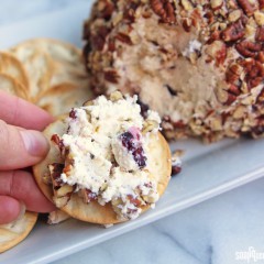 Cranberry Cheeseball Recipe