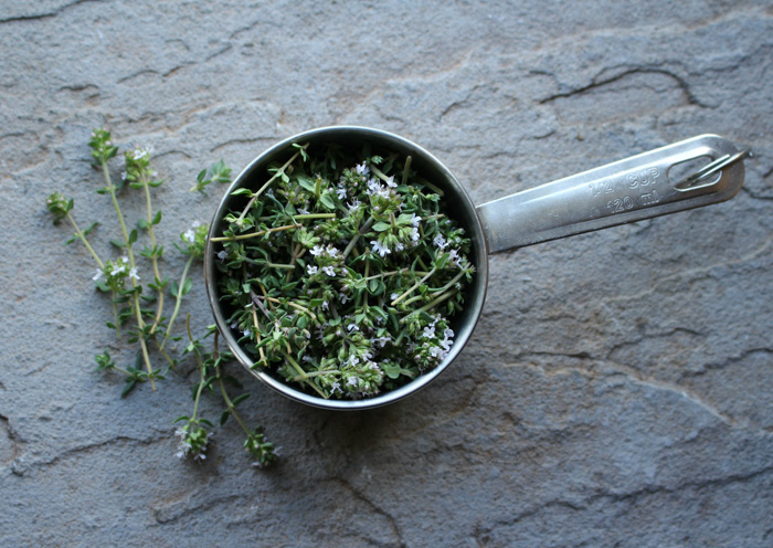 Thyme Witch Hazel Facial Bar DIY // Learn how to create this natural facial bar with honey, witch hazel and thyme. 