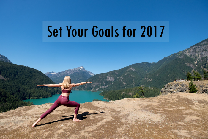 Set Your Goals for 2017