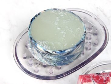 soap-on-dish