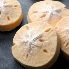 DIY Sand Dollar Bath Bombs