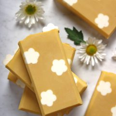 Daisy Soap Tutorial