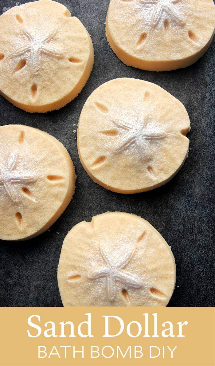Sand Dollar Bath Bomb Diy Soap Queen Sand Dollar Bath Bomb Diy Soap Queen