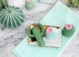DIY Cactus Soap-1-10