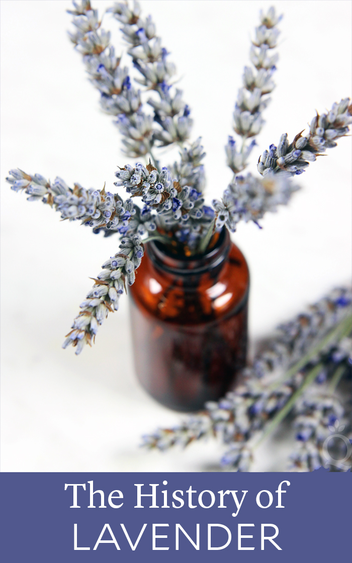History of Lavender
