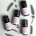 LavenderFlightOils3