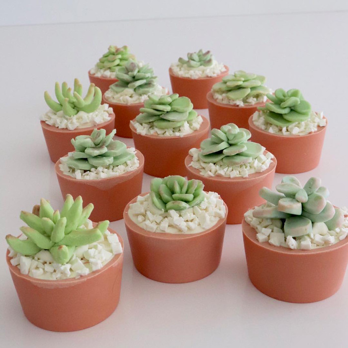 SoapishSucculents