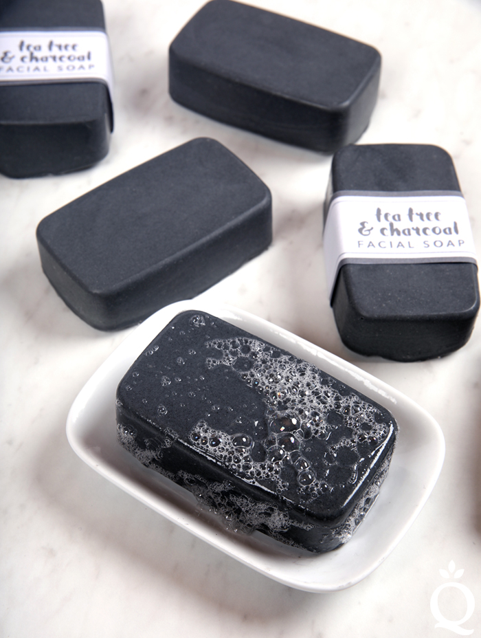 Charcoal Facial Soap Kit