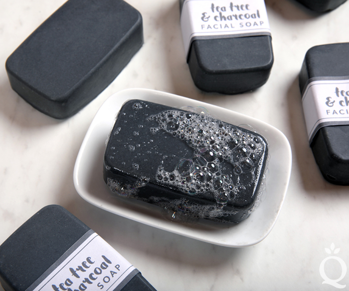 Charcoal Facial Soap Kit