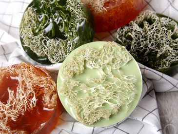 Garden Loofah MP Soap