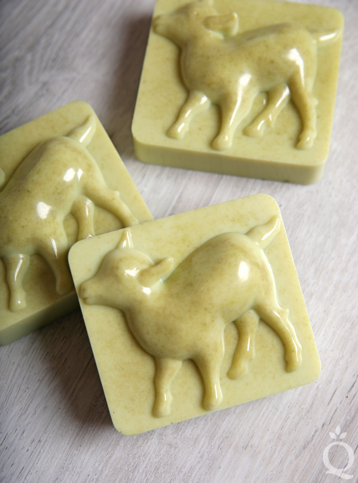 Goat Milk and Alfalfa Soap DIY